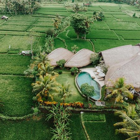 Villa Omah Padi Ubud エクステリア 写真
